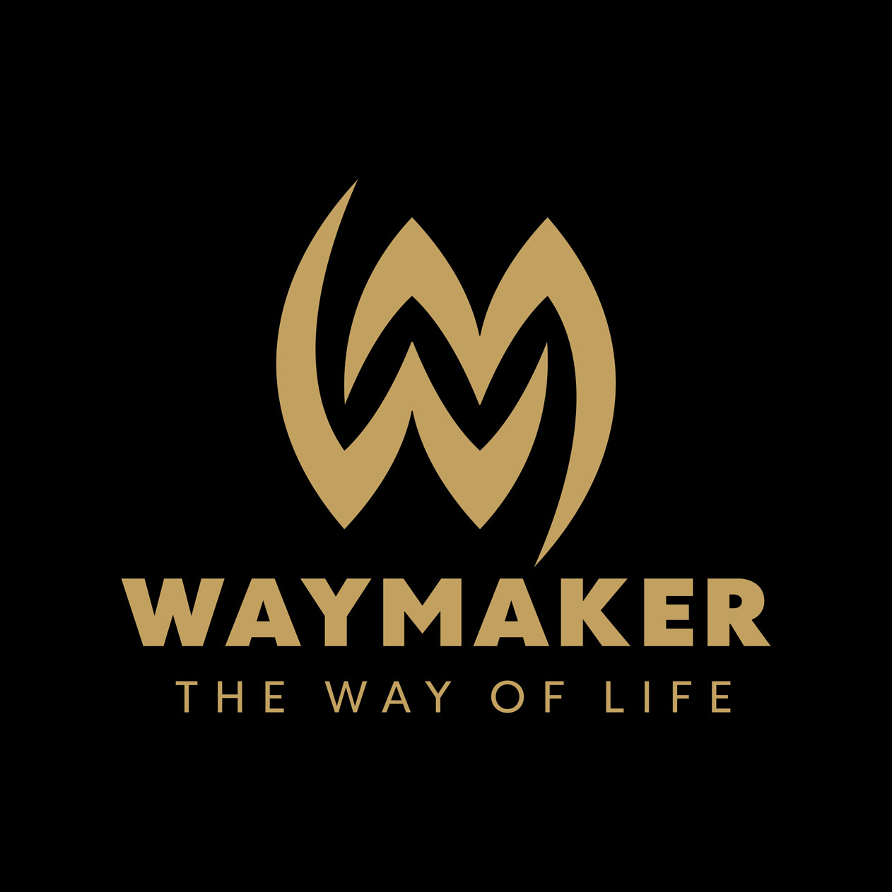 Waymaker logo, Therwiz Design, Mika Tervaskangas logonsuunnittelu, yritysilme, liikemerkki Pietarsaari, Pohjanmaa, Suomi